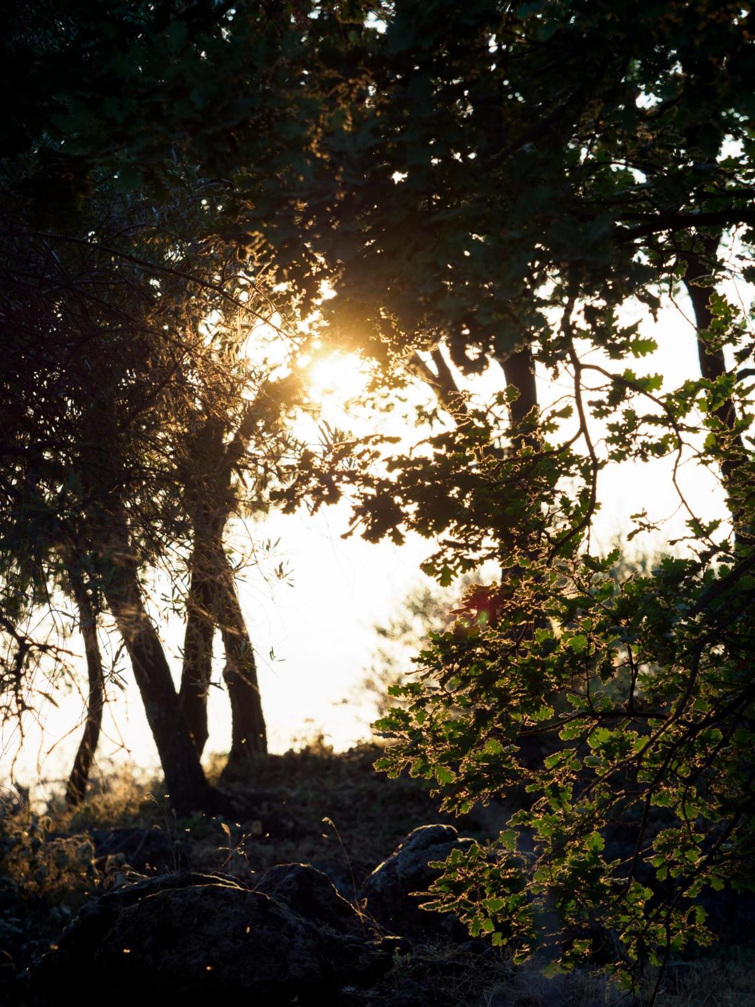 Podere Dell'Etna Segreta - Essential Nature Hotel & Glamping بيانكافيلا المظهر الخارجي الصورة